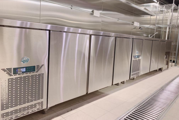 Counter Refrigerator